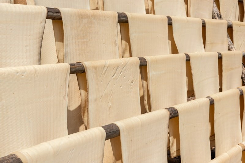 อุตสาหกรรมยางธรรมชาติไทย...จากสวนยางสู่ผลิตภัณฑ์ที่ใช้ในชีวิตประจำวัน